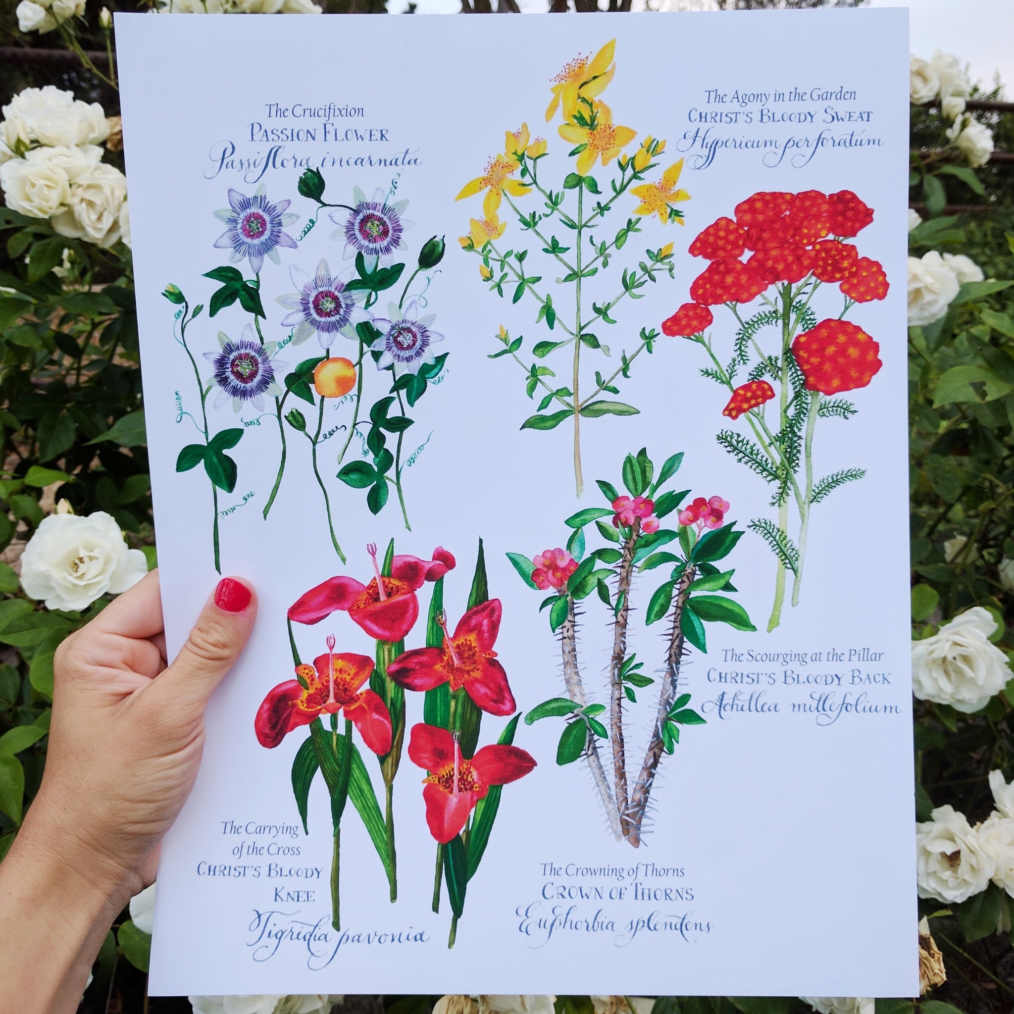 A Trinitarian Meditation: Painting the Botanical Rosary