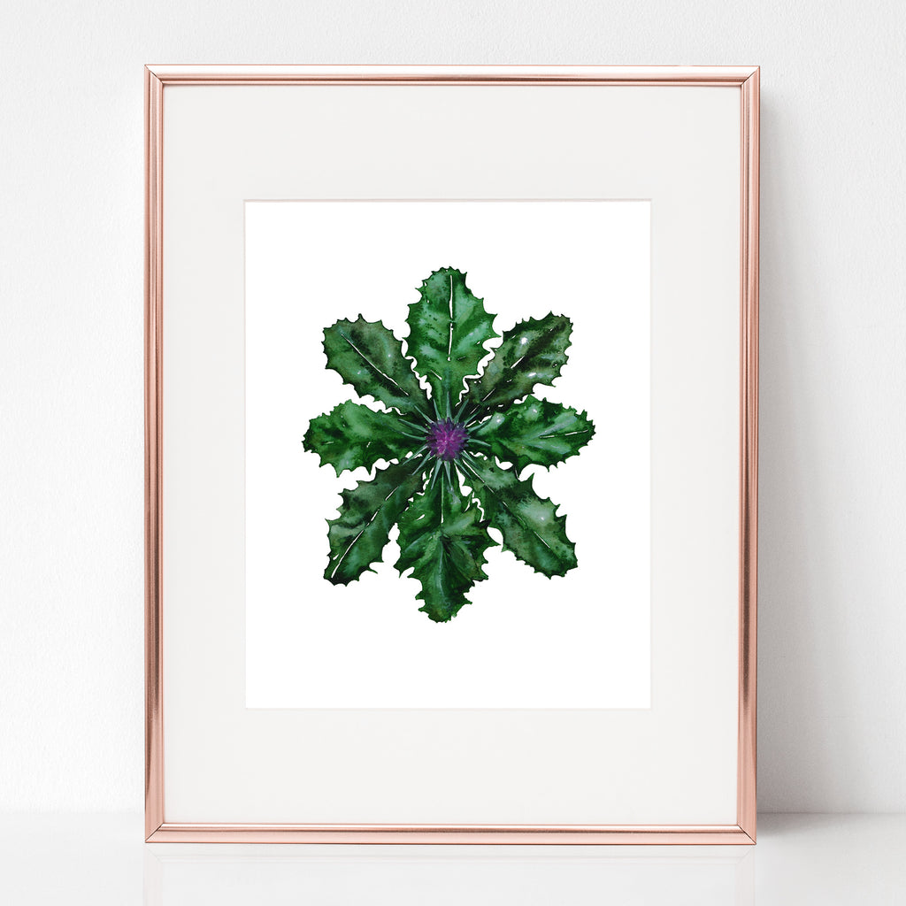 MARY’S MILK THISTLE