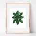 MARY’S MILK THISTLE