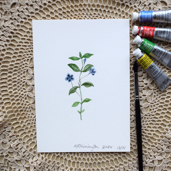 Original EVERGREEN in the FLOWERS OF MARY COLLECTION