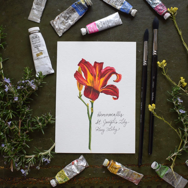 st joseph and lily flower Original ST. JOSEPH'S LILY – Rose Harrington