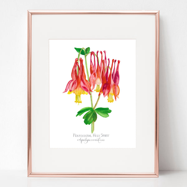 THE DESCENT OF THE HOLY SPIRIT, PENTECOSTAL HOLY SPIRIT, Aquilegia canadensis