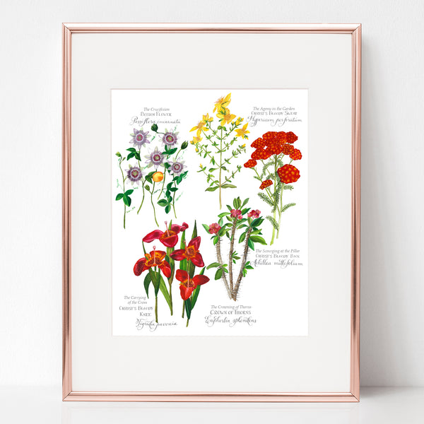 SORROWFUL MYSTERIES BOTANICAL ROSARY