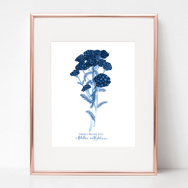 THE SCOURGING AT THE PILLAR, CHRIST'S BLOODY BACK, Achillea millefolium, IN BLUE