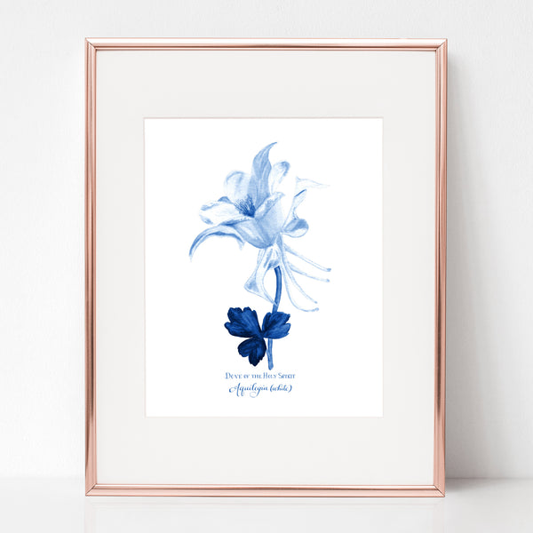 THE BAPTISM OF OUR LORD, DOVE OF THE HOLY SPIRIT, Aquilegia (white)