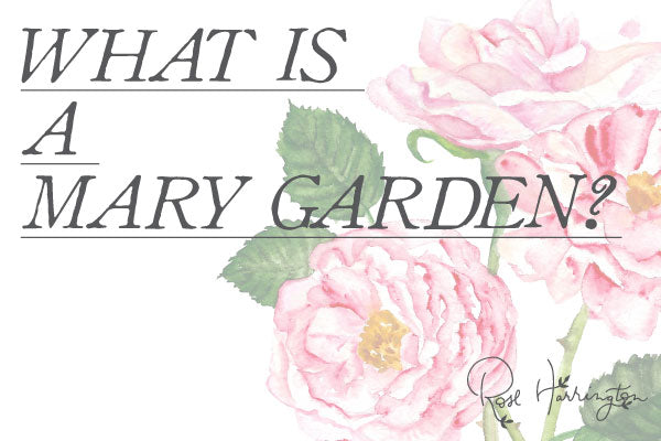 What is a Mary Garden?