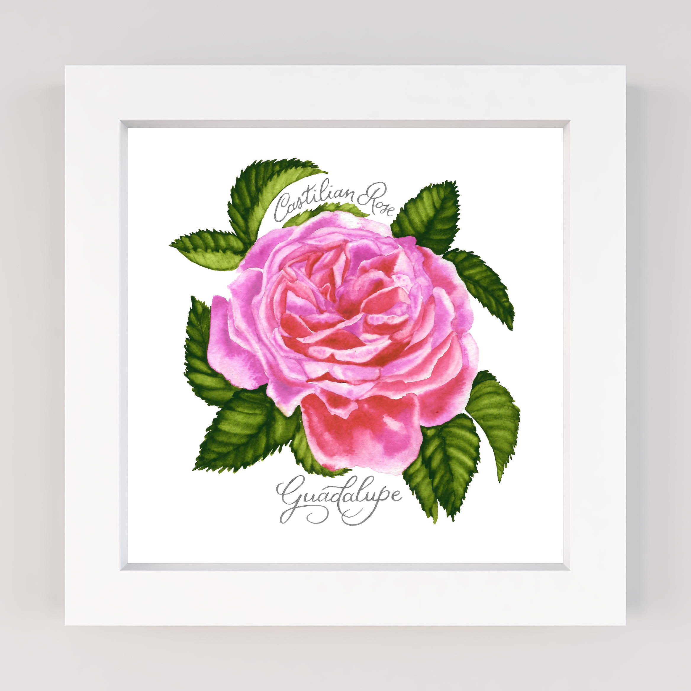 Floral Marian Devotion, Castilian Rose – Rose Harrington