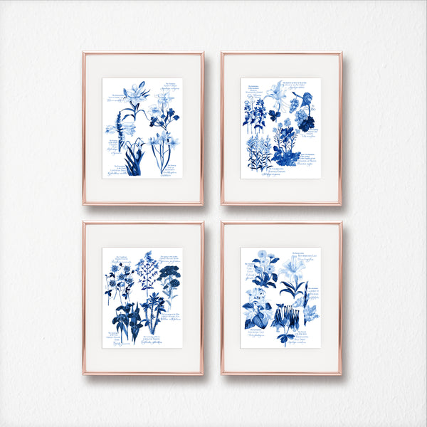 BOTANICAL ROSARY COLLECTION COMPLETE SET IN BLUE, JOYFUL, LUMINOUS, SORROWFUL, GLORIOUS