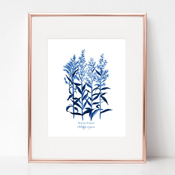 THE TRANSFIGURATION, HEAVENLY RADIANCE, Solidago virgaure, IN BLUE