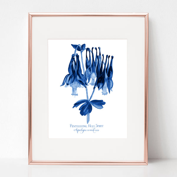 THE DESCENT OF THE HOLY SPIRIT, PENTECOSTAL HOLY SPIRIT, Aquilegia canadensis, IN BLUE