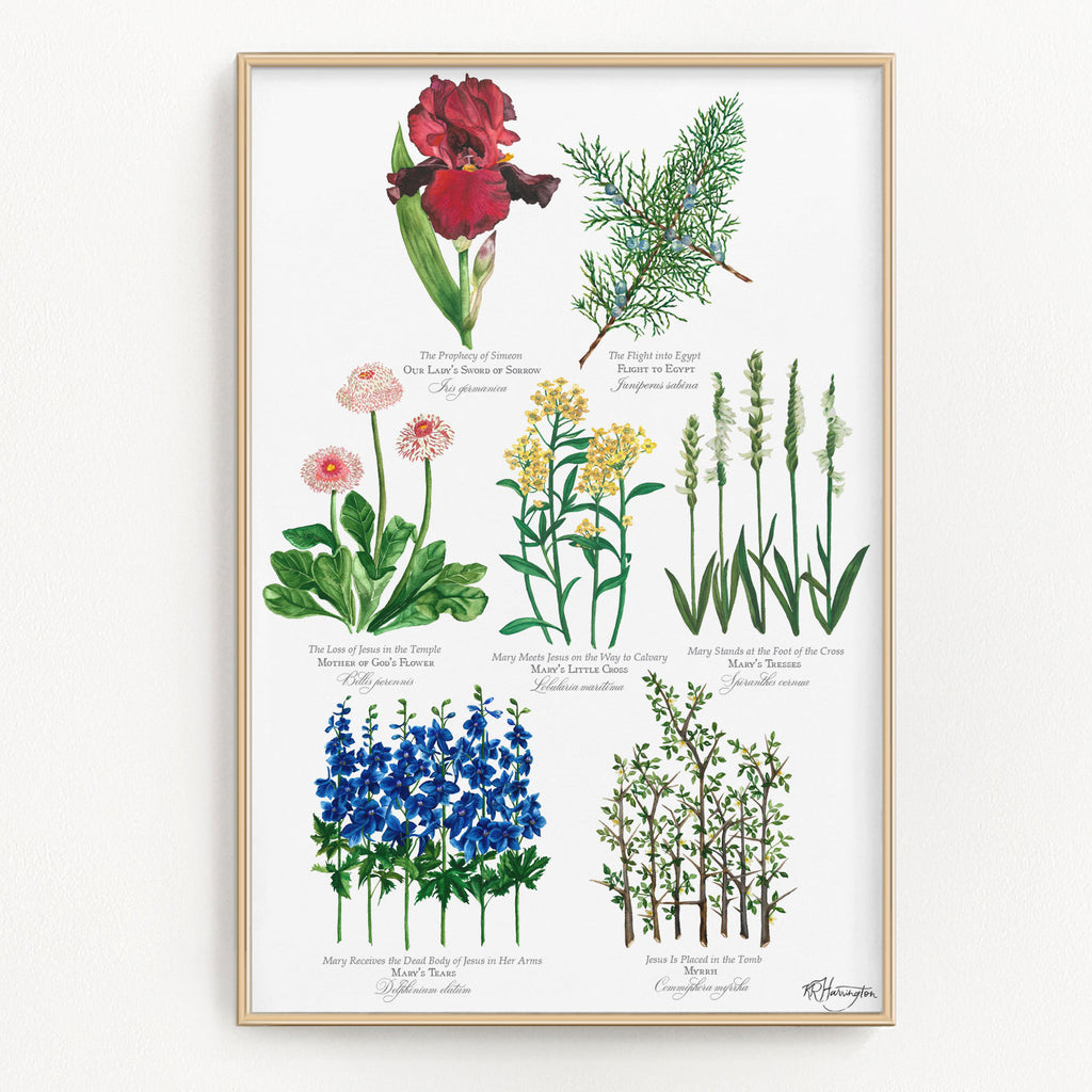 BOTANICAL SEVEN SORROWS OF MARY POSTER - COMPLETE